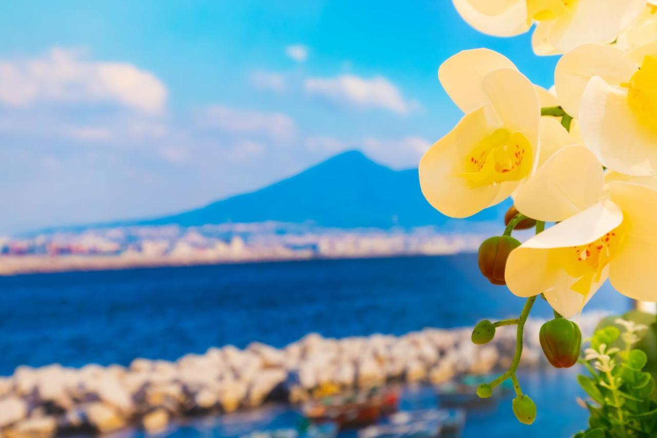 Le Meraviglie Di Napoli 외부 사진